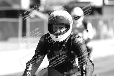 media/Feb-23-2025-2WTD (Sun) [[9604a77d5d]]/1-Around the Pits/